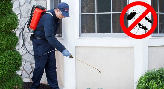 Kovancılar Böcek İlaçlama böcek ilaçlama ve haşere kontrolü — ilaclama-tr.com